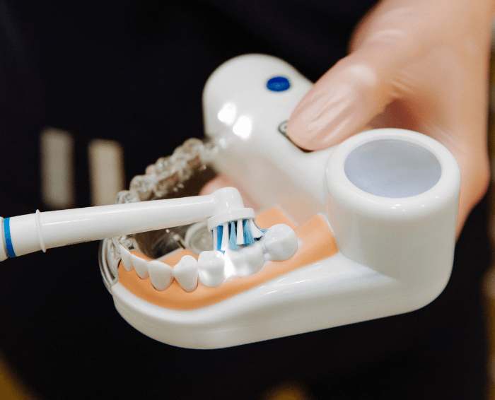 dentist with fake teeth set demonstrating brushing techniques